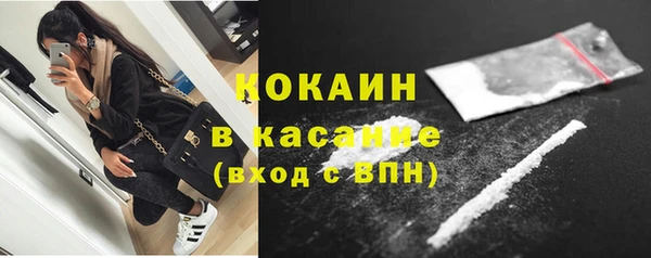 соль ск Алексин