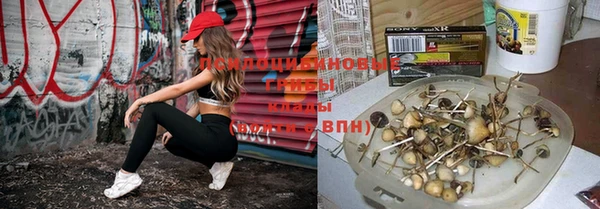 меф Алексеевка