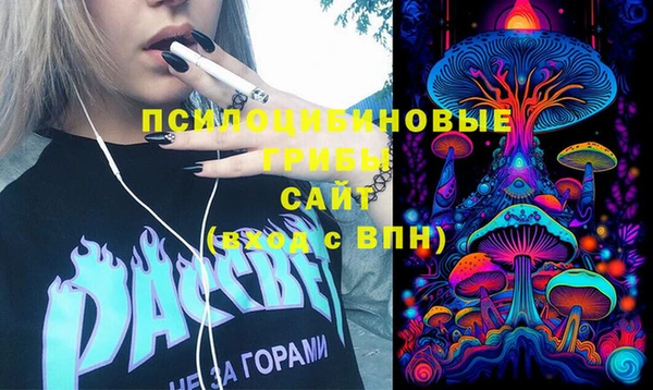 соль ск Алексин