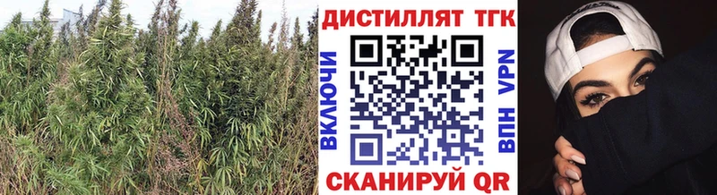 kraken как войти  Бежецк  Дистиллят ТГК вейп с тгк 